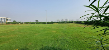 133 Sq. Yards Residential Plot for Sale in Sector 24, Dharuhera