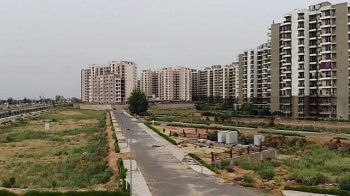 250 Sq. Yards Residential Plot for Sale in Sector 24, Dharuhera
