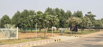 A prime location East facing plot near NH-48, Dharuhera