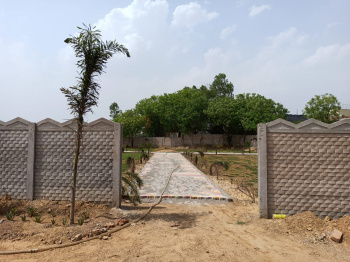 250 Sq.ft. Residential Plot for Sale in Tappal, Aligarh