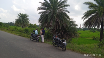 Property for sale in Panchgachia, Asansol