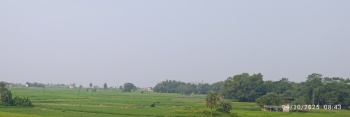 Property for sale in Panchgachia, Asansol