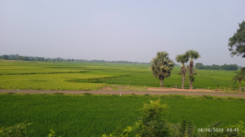 Property for sale in Panchgachia, Asansol