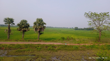 Residential Plot for Sale in Kanyapur, Asansol (25 Katha)