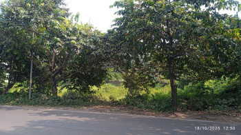 Residential Plot for Sale in Kanyapur, Asansol (80 Katha)