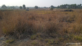 Residential Plot for Sale in Morichkotha, Asansol (15 Katha)