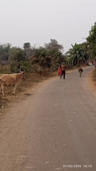 Property for sale in Kanyapur, Asansol