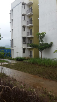 1 BHK Flats & Apartments for Sale in Hinjewadi Phase 1, Pune (550 Sq.ft.)