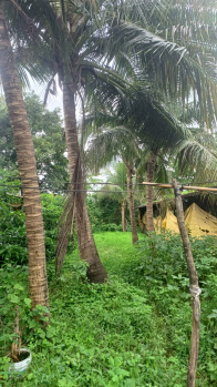 Agriculture farm in Palghar east