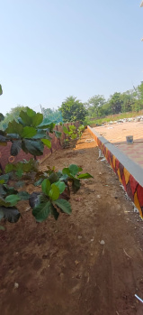Property for sale in Boisar, Palghar