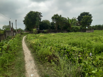 Residential Plot for Sale in Rajpur Sonarpur, South 24 Parganas (20 Katha)