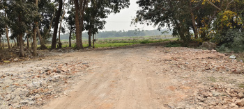 Residential Plot for Sale in Amtala, Kolkata (5 Katha)