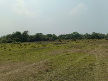 Residential Plot for Sale in Kanyapur, Asansol (10 Katha)