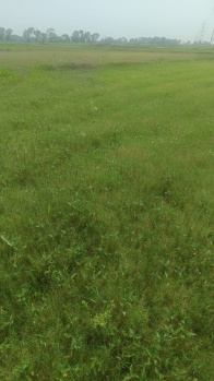 Agricultural/Farm Land for Sale in Khariberia, Kolkata (60 Katha)