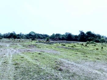 3 Katha Residential Plot for Sale in Gobindapur, Asansol