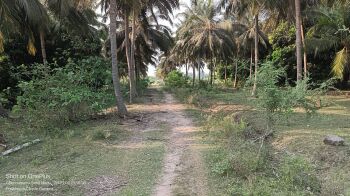 1200 Sq.ft. Agricultural/Farm Land for Sale in Madhurandagam, Chennai
