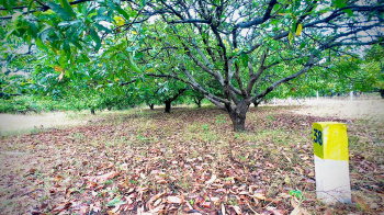 Property for sale in Alagar Kovil, Madurai