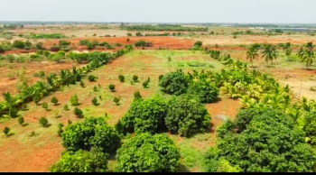 Property for sale in Melur, Madurai