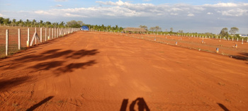 Agricultural/Farm Land for Sale in Melur, Madurai (1 Cent)