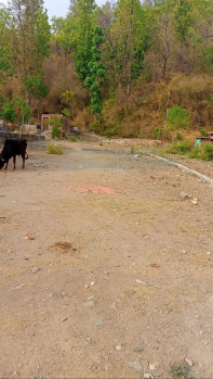 Property for sale in Nathuwala, Dehradun