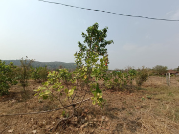 Property for sale in Indapur, Raigad