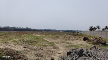 15 Guntha Agricultural/Farm Land for Sale in Murud, Raigad