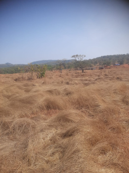 45 Acre Agricultural/Farm Land for Sale in Mahad, Raigad