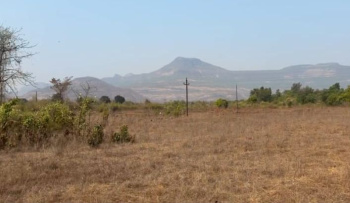 20 Acre Agricultural/Farm Land For Sale In Mangaon, Raigad