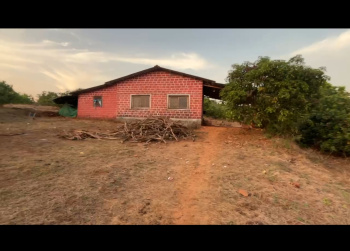 Agricultural/Farm Land for Sale in Mangaon, Raigad (6.20 Acre)