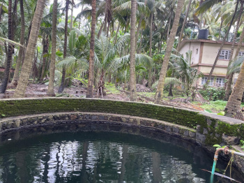 25 Guntha Agricultural/Farm Land for Sale in Murud, Raigad