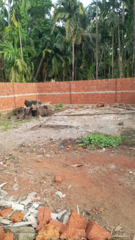 Residential Plot for Sale in Chaul, Raigad (6 Guntha)