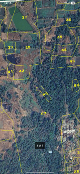 Residential Plot for Sale in Mangaon, Raigad (12.20 Acre)