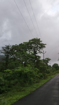 Agricultural/Farm Land for Sale in Mahad, Raigad (10 Acre)