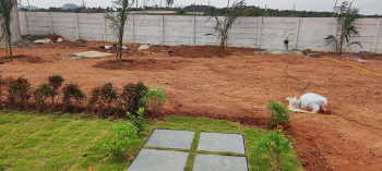 605 Sq. Yards Agricultural/Farm Land for Sale in Chotuppal, Hyderabad