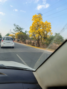 Commercial Lands /Inst. Land for Sale in Amangal, Rangareddy (444 Sq. Yards)