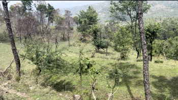 Property for sale in Dharampur, Solan