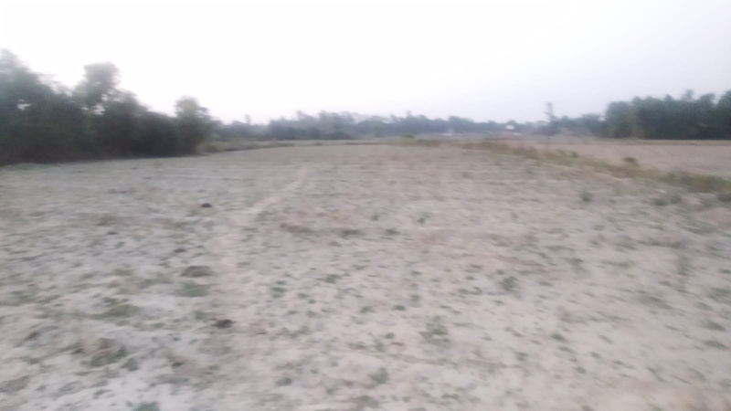 189000 Sq.ft. Agricultural/Farm Land for Sale in Banthara, Lucknow
