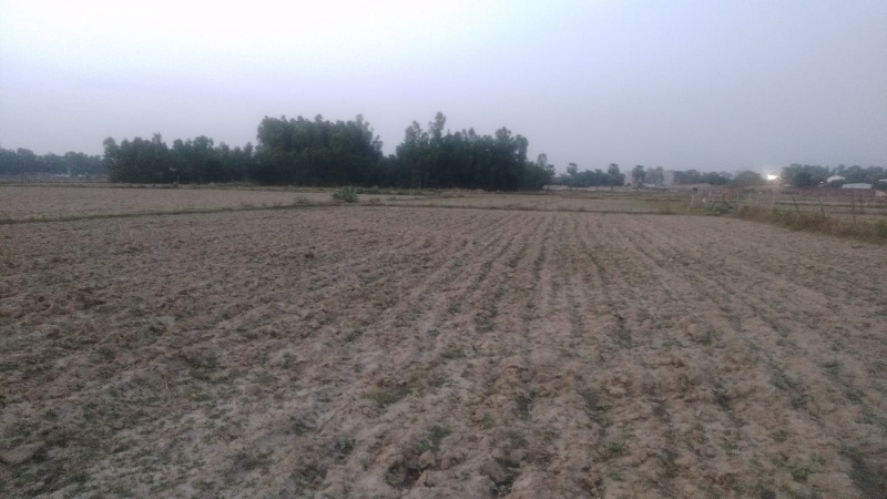 189000 Sq.ft. Agricultural/Farm Land for Sale in Banthara, Lucknow