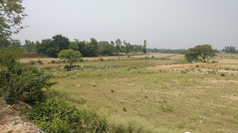 Agriculture Land For warehouse or factory
