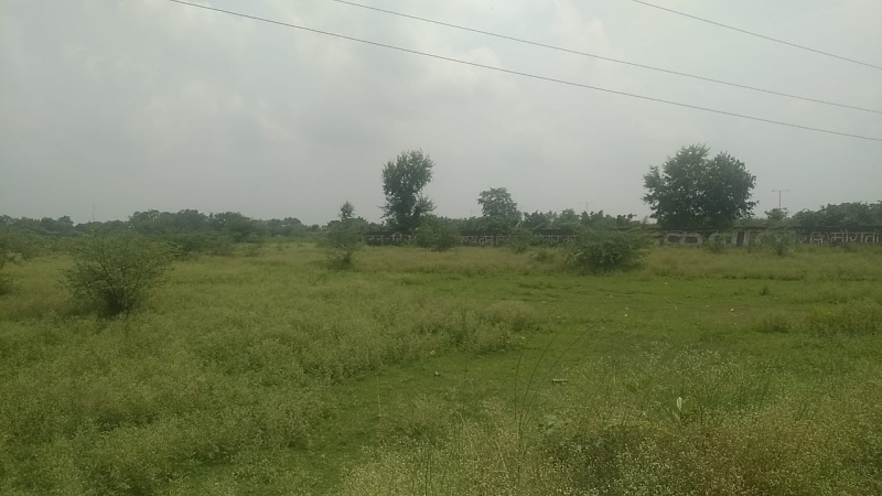 25 Bigha Agricultural/Farm Land for Sale in Nigoha, Lucknow