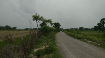 50 Bigha Agricultural/Farm Land for Sale in Kalli Paschim, Lucknow