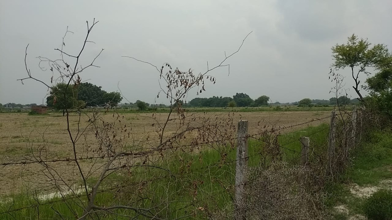 50 Bigha Agricultural/Farm Land for Sale in Kalli Paschim, Lucknow