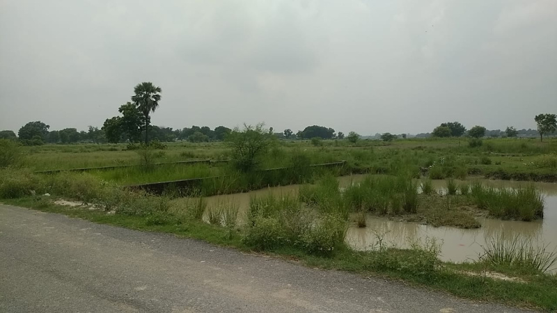 50 Bigha Agricultural/Farm Land for Sale in Kalli Paschim, Lucknow