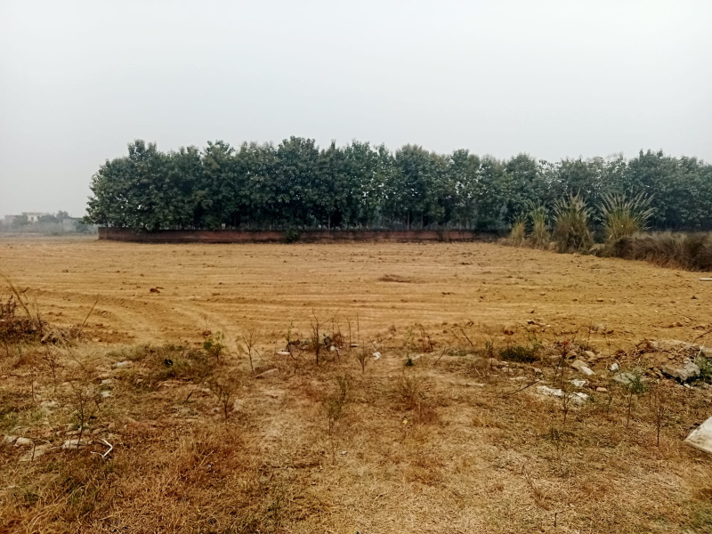 1000 Sq.ft. Residential Plot for Sale in Banthara, Lucknow
