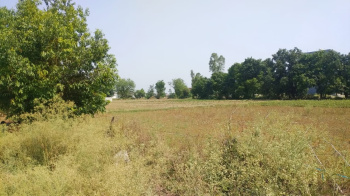 Property for sale in Nadarganj, Lucknow