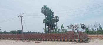 800 Sq.ft. Residential Plot for Sale in Kanpur Road, Lucknow