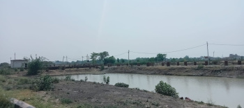 1000 Sq.ft. Residential Plot for Sale in Kalli Paschim, Lucknow