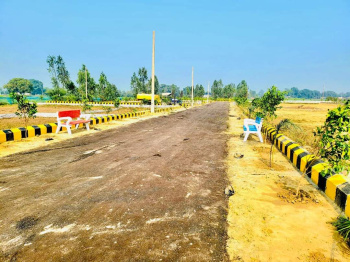 1000 Sq.ft. Residential Plot for Sale in Mohanlalganj, Lucknow