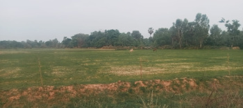 27220 Sq.ft. Agricultural/Farm Land for Sale in Sarojini Nagar, Lucknow