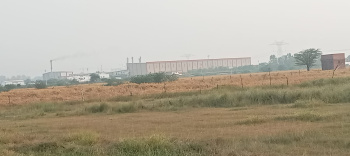 25 Bigha Industrial Land / Plot for Sale in Nawabganj, Unnao